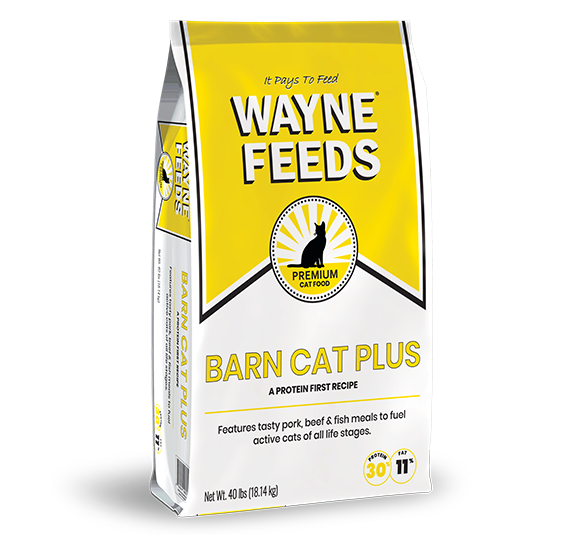Wayne Feeds